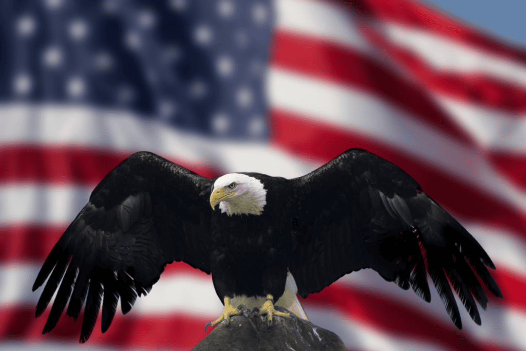 Patriotic Eagle